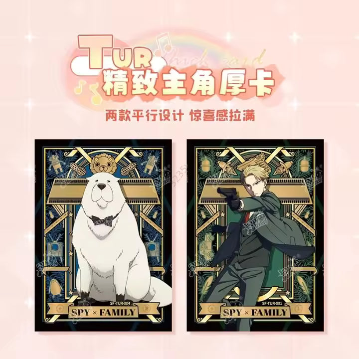 Display Kayou Spy x Family (série T1W1 / Wave 1)